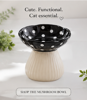 Whimsical Mushroom Raised Cat Bowl