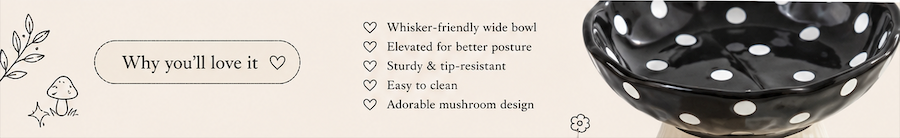Whimsical Mushroom Raised Cat Bowl