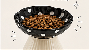 Whimsical Mushroom Raised Cat Bowl